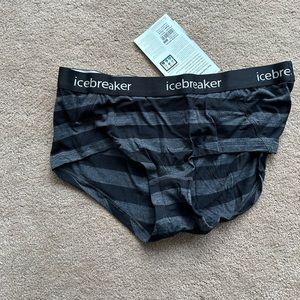 Icebreaker Sprite Hot Pants Underwear Panties NEW